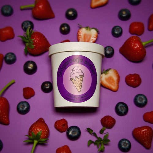 Skógarberja sorbet, 473 ml